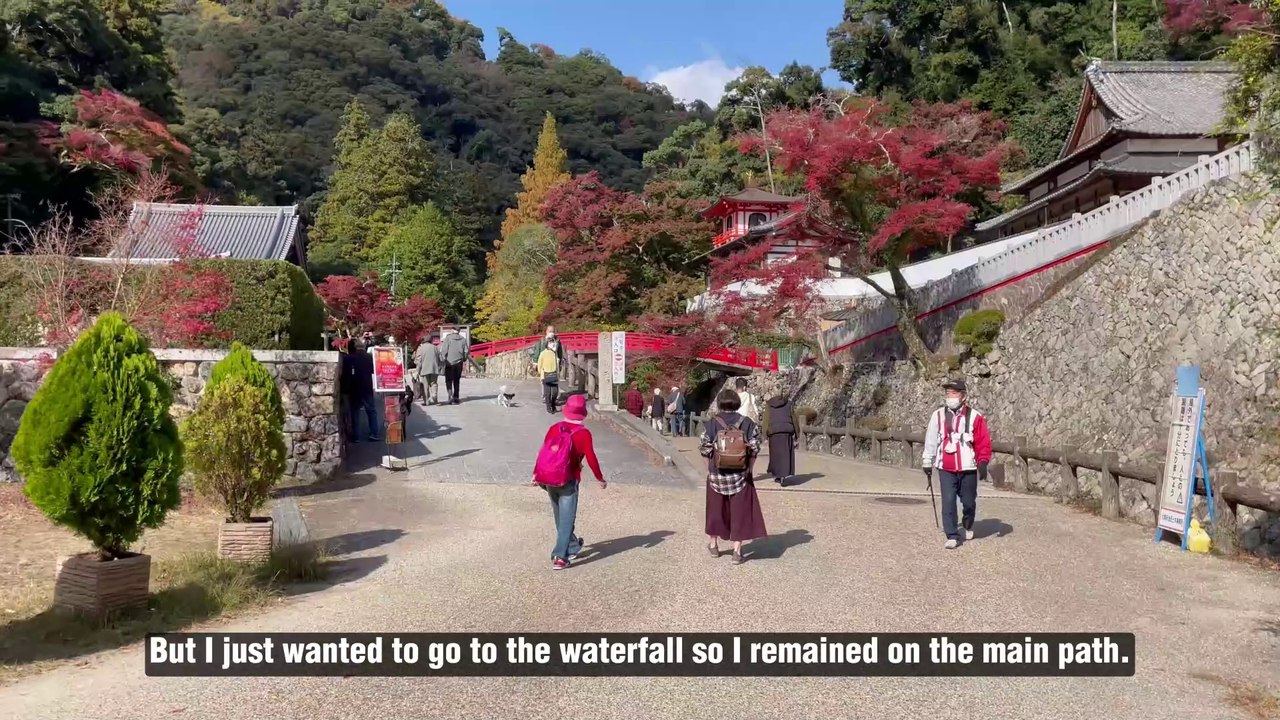 Arrival in Osaka Japan Travel 🇯🇵 Day trips to Kyoto Temples & Shrines, Arashiyama & Minoo Falls