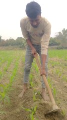 মাঠে সিঁড়ি করার সময় 😐