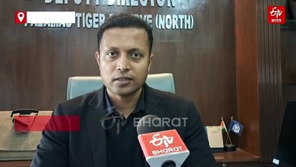 झारखंड के इस इलाके में उमड़ा विदेशी पक्षियों का जमावड़ा, कई पहली बार पहुंचे पलामू