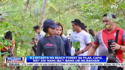 Mahigit 9 na ektarya ng beach forest sa Pilar, Capiz, may 20-K ng iba't ibang uri ng bakhaw