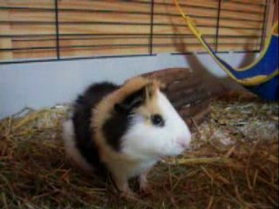 Taïkô perte d'équilibre