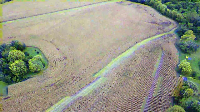 SEPT 23 2024 Corn Fields near the Rock River