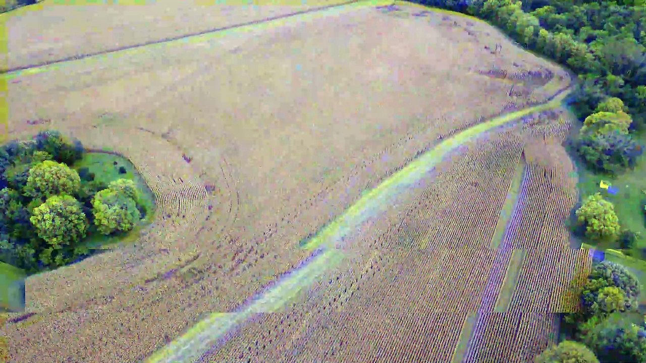 SEPT 23 2024  Corn Fields near the Rock River