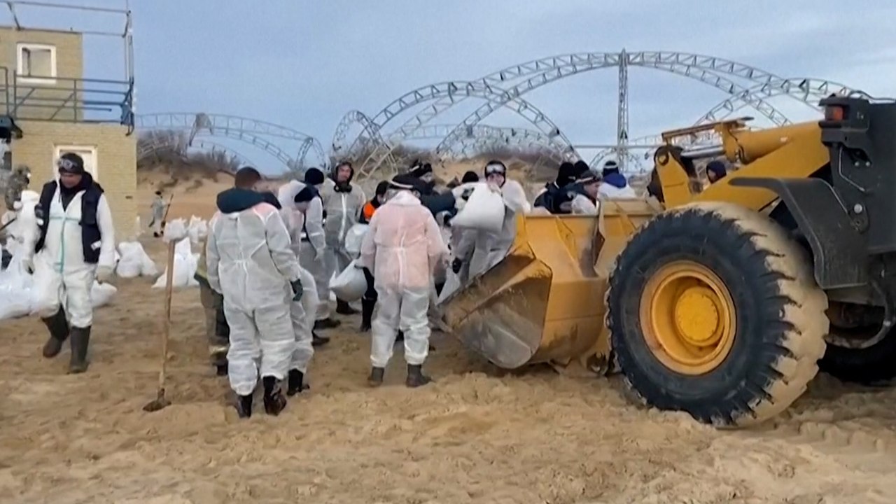 Marée noire en Russie : le nettoyage des plages de la mer Noire polluées au mazout se poursuit