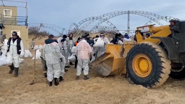 Marée noire en Russie : le nettoyage des plages de la mer Noire polluées au mazout se poursuit