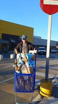 Куча хамона