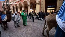 L'arrivo dei Re Magi a Bologna: sfilata con i cammelli in centro