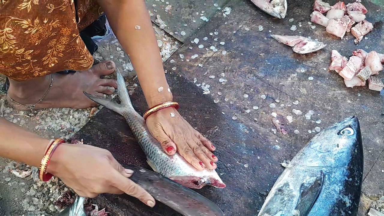 Expert Hilsa Fish Cutting at Fish Market Ilish Pulasa Pulva Mullasu Preparation