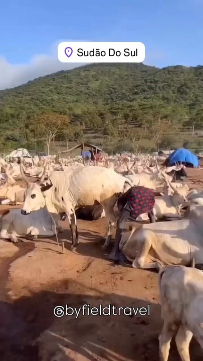 Voici ma nouvelle vidéo