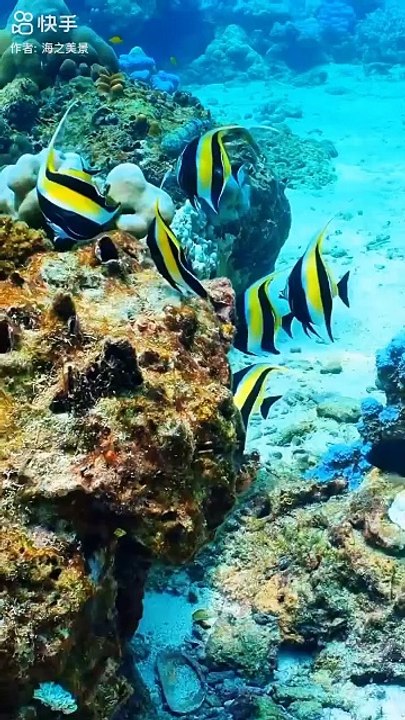 Aquarium 6
