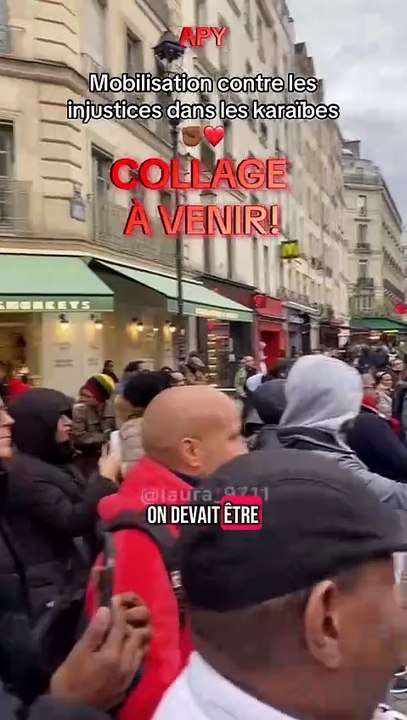 Mobilisation contre la vie chère dans les outre-mers - Paris Janvier 2025 (partie 4)