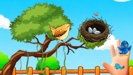 Animal Finger Family Song Without Music | Learn Where Animals Live | Cocomomo FuntasticTots