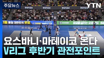 요스바니·마테이코 온다...V리그 후반기 관전포인트 / YTN