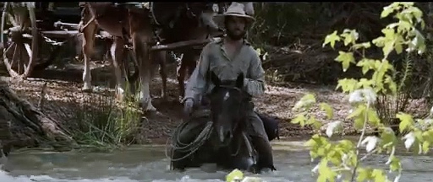 Tandis que j'agonise (2013) - Bande annonce