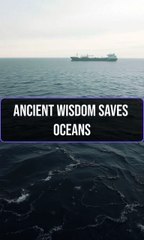 Ancient Wisdom Saves Oceans  Discover how ancient methods clean modern oil spills! #History #Innovation