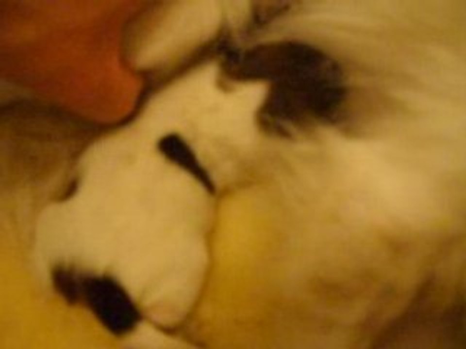 Bébé mange tout seul