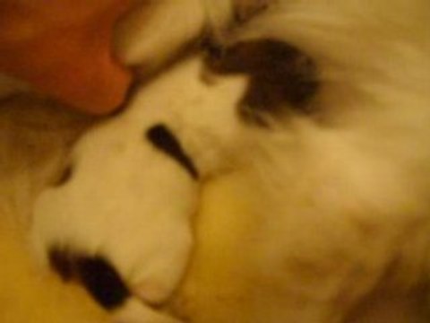 Bébé mange tout seul