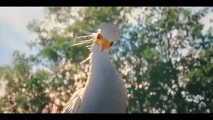 Flow, le chat qui n'avait plus peur de l'eau (2024) - Bande annonce