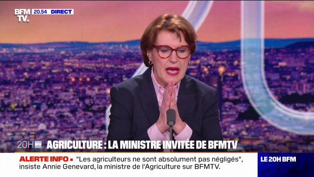 Annie Genevard (ministre de l'Agriculture): C'est plus facile de surtransposer que de désurtransposer