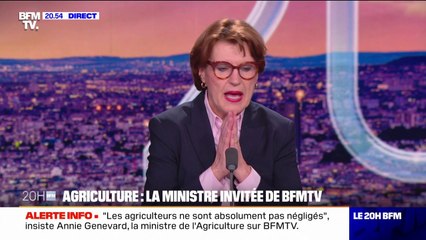 Annie Genevard (ministre de l'Agriculture): "C'est plus facile de surtransposer que de désurtransposer"