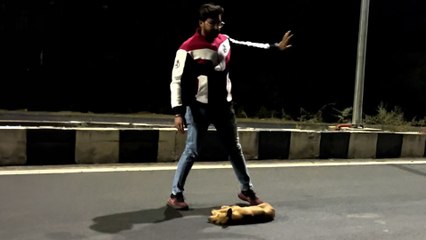 Dog Almost Run Over Is A Total Miracle