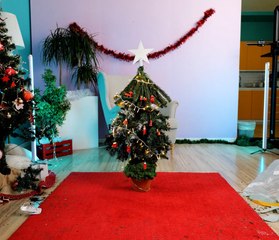 Des idées de décoration de Noël à petit budget qui WAOUH !