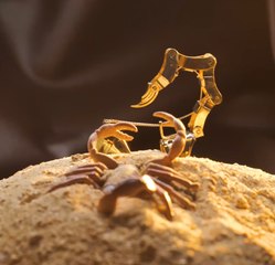 BRICOLAGE pour tous les styles et tous les budgets !