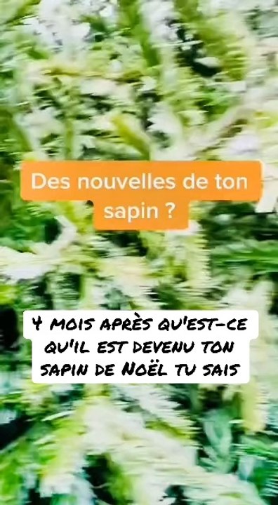 La routine !