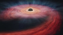 Astronomers Discovers A Black Hole Destroying A Huge Star