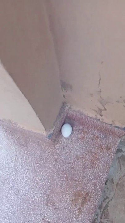 توقف سوف تتغير حياتك المالية بإدن الله عزوجل