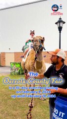 Oviedo Realtor in the Unmissable Osceola County Fair!