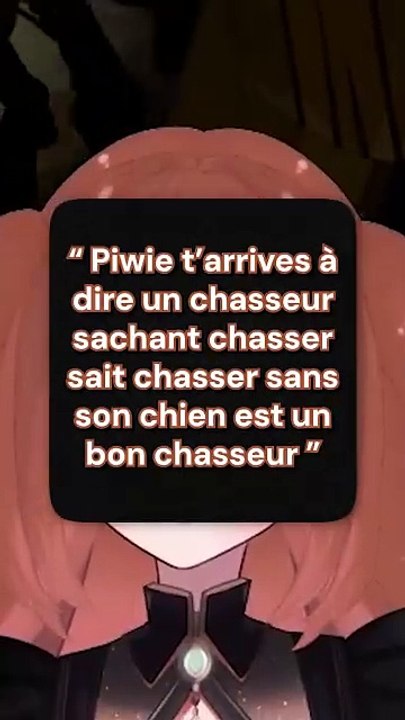 Je sais pas parler...