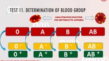 Determination of blood group