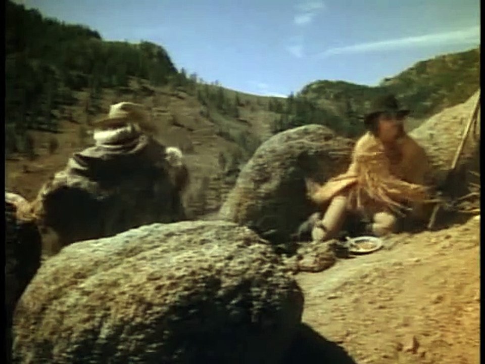 The White Buffalo (1977)