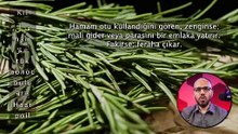 Rüyada Kıl Görmek - İhya Rüya Tabirleri