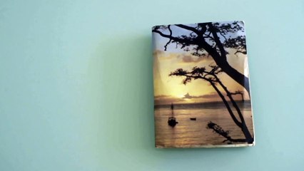 Ojalá pudiera decir la verdad | movie | 2024 | Official Trailer