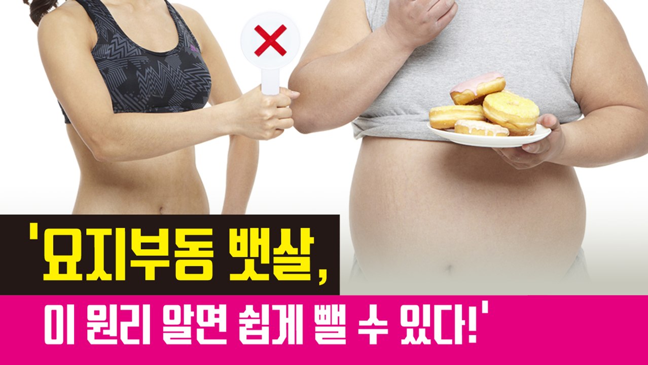 '요지부동 뱃살, 이 원리 알면 쉽게 뺄 수 있다!'[김대성의 아아 그렇군요]