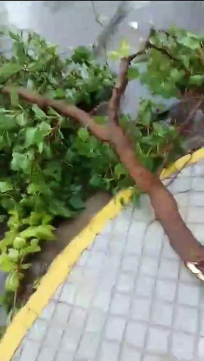 Tormenta La Paz