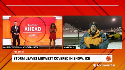 Ice storm leaves trees down across the Midwest