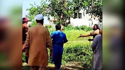 Qurbani Funniest Moments Of  Animals 🤪 Qasai Anari Janwer Khilari