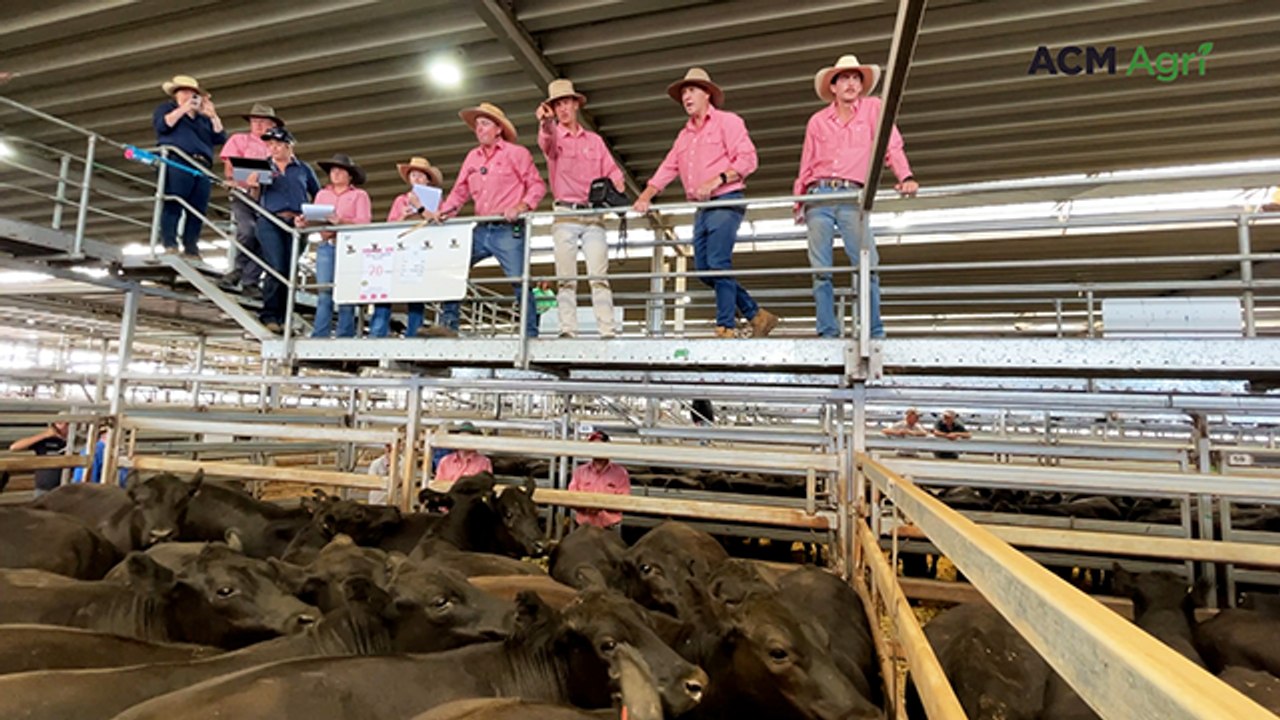 Northern buyers help boost Wodonga market 'beyond expectations'