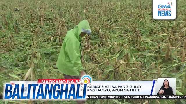 Pagtaas ng presyo ng kamatis at iba pang gulay, epekto ng mga nagdaang bagyo, ayon sa Dept. of Agriculture | Balitanghali