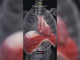 اللہ تعالٰی کا ارشاد مبارک قرآن مجید میں