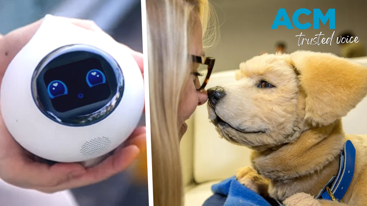 AI on display in Las Vegas during annual CES tech show