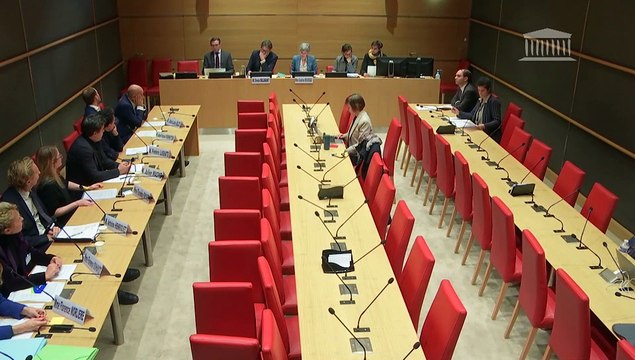 Violences commises dans les secteurs artistiques et médiatiques : M. Wajdi Mouawad, directeur du Théâtre de la Colline ; Audition de représentants de sociétés de production - Jeudi 19 décembre 2024