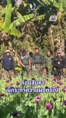 ตชด.สนธิกำลังทลายไร่ฝิ่นเกือบ 1 ไร่ | PPTV Online