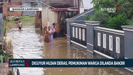 Diguyur Hujan Deras, Pemukiman Warga Dilanda Banjir