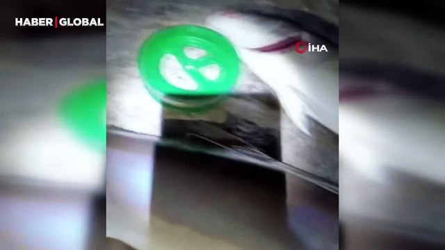 Amatör balıkçıdan şaşırtan performans: Bir metrelik iki dev balığı tek seferde yakaladı