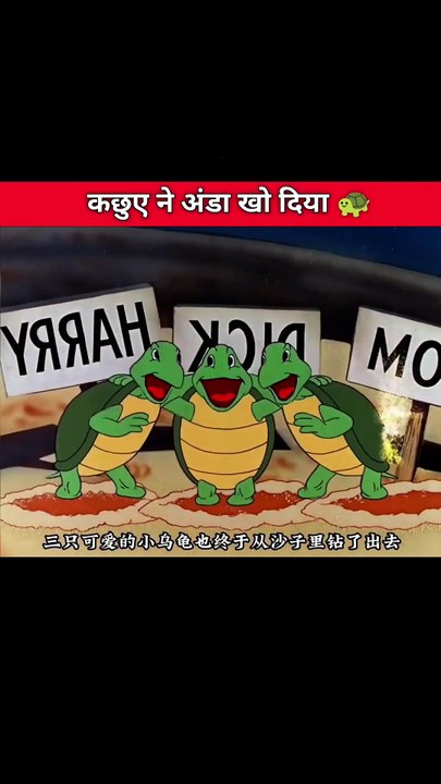 कछुए ने अंडा खो दिया 🐢