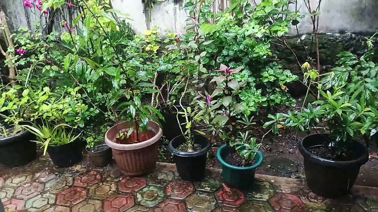 Hujan Deras/ heavy rain